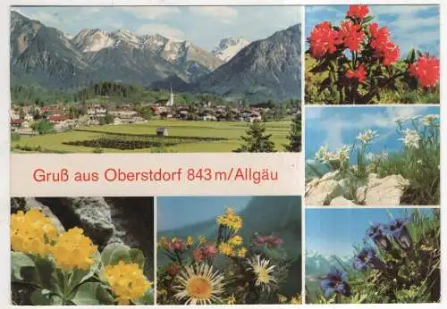 [Ansichtskarte] GERMANY - Oberstdorf / Allgäu. 