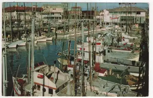 [Ansichtskarte] USA - San Francisco - Fishing Fleet. 