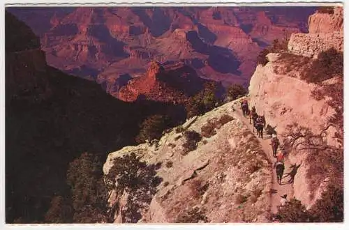 [Ansichtskarte] USA - Grand Canyon National Park - by multe train into the Grand Canyon. 