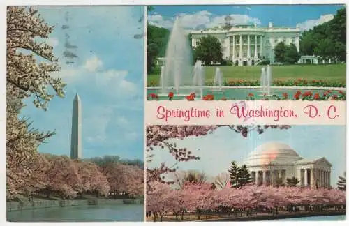 [Ansichtskarte] USA - Washington D. C. - Springtime. 