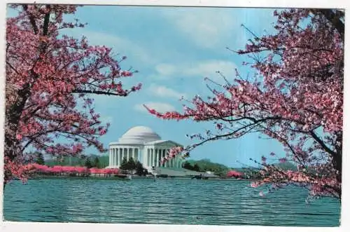 [Ansichtskarte] USA - Washington D. C. - Jefferson Memorial. 