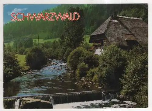 [Ansichtskarte] GERMANY - Schwarzwald. 