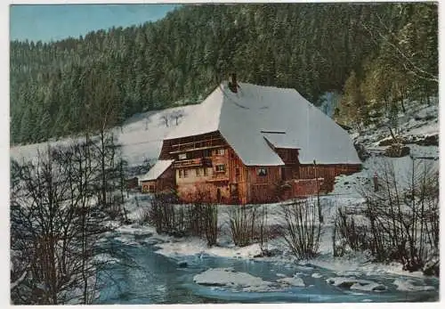 [Ansichtskarte] GERMANY - Im Schwarzwald. 