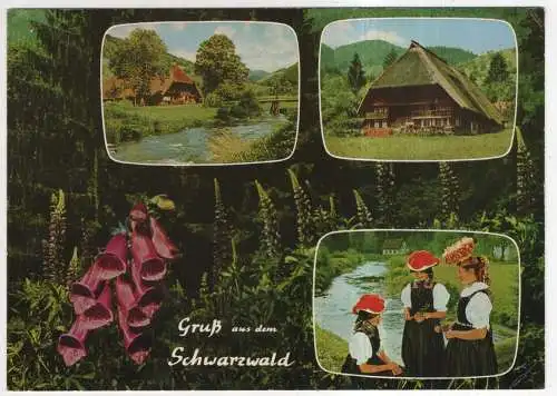 [Ansichtskarte] GERMANY -  Schwarzwald. 