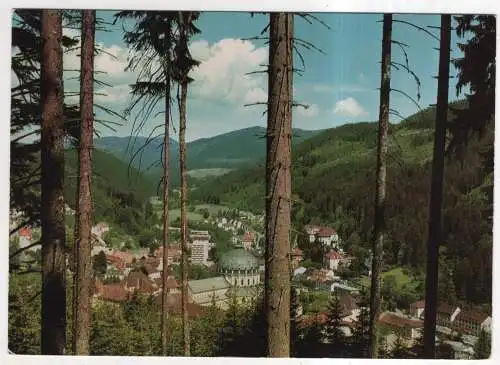 [Ansichtskarte] GERMANY -  St. Blasien vom Holzberg. 