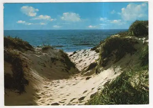 [Ansichtskarte] GERMANY - Dünen und Meer. 