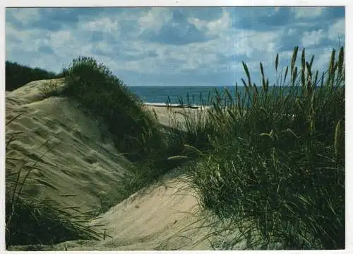 [Ansichtskarte] GERMANY - Dünen und Meer. 