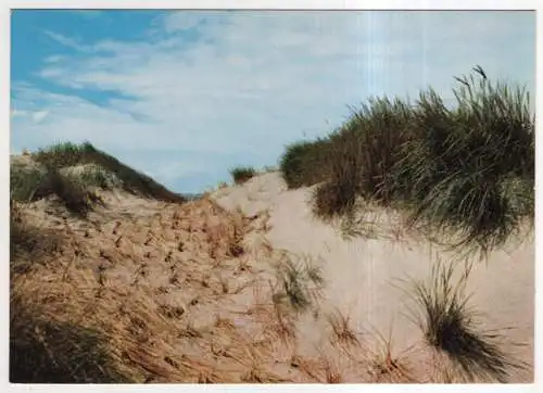 [Ansichtskarte] GERMANY - Dünen. 