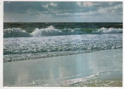 [Ansichtskarte] GERMANY - Sylt - Dünen nach dem Sturm. 