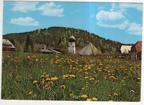 [Ansichtskarte] GERMANY - Hinterzarten / Schwarzwald. 