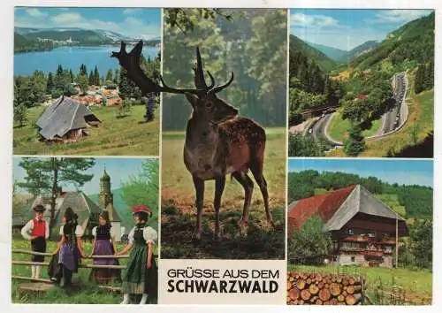 [Ansichtskarte] GERMANY - Schwarzwald. 