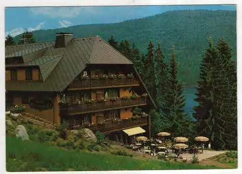 [Ansichtskarte] GERMANY - Hinterzarten am Titisee - Hotel Restaurant Café Alemannenhof. 