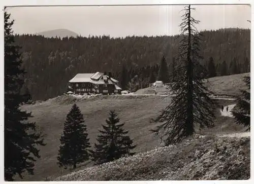 [Ansichtskarte] GERMANY - Feldberg / Schwarzwald - Berg-Gasthof - Hotel Trodtnauerhütte. 