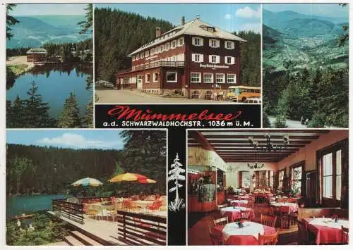 [Ansichtskarte] GERMANY - Mummelsee a. d. Schwarzwaldhochstraße. 