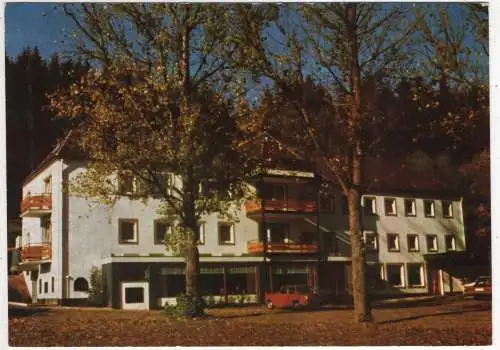 [Ansichtskarte] GERMANY - Deudesfeld / Binsenmühle - Waldhotel Binsenmühle. 