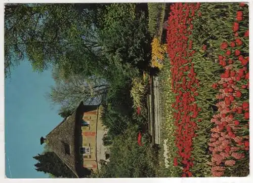 [Ansichtskarte] GERMANY - Insel Mainau im Bodensee - Tulpen am alten Wehrturm. 