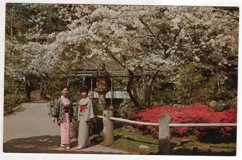 [Ansichtskarte] USA - San Francisco - Japanese Tea Garden. 