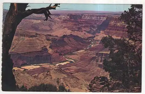 [Ansichtskarte] USA - Grand Canyon National Park. 