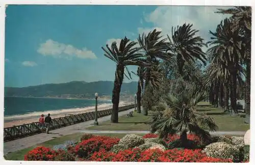 [Ansichtskarte] USA - Santa Monica - Palisades Park. 