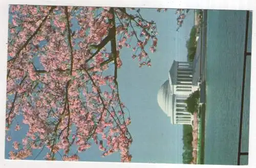 [Ansichtskarte] USA - Washington D. C. - Jefferson Memorial. 