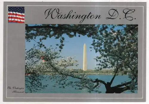 [Ansichtskarte] USA - Washington D. C. - The Washington Monument. 