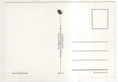 [Ansichtskarte] GERMANY - Steilküste. 