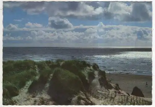 [Ansichtskarte] GERMANY - Dünenausblick im Gegenlicht an der Nordsee. 