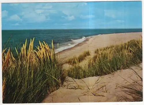 [Ansichtskarte] GERMANY - Dünen und Meer. 