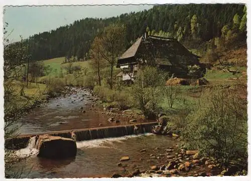 [Ansichtskarte] GERMANY - Bauernhaus im Schwarzwald. 