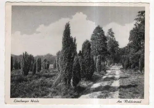 [Ansichtskarte] GERMANY - Lüneburger Heide. 