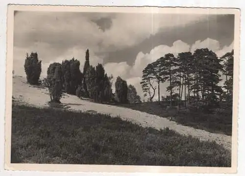 [Ansichtskarte] GERMANY - Lüneburger Heide - Am Totengrund. 