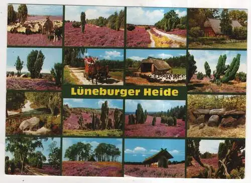 [Ansichtskarte] GERMANY - Lüneburger Heide. 