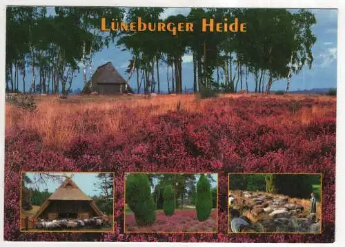 [Ansichtskarte] GERMANY - Lüneburger Heide. 