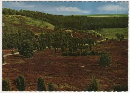 [Ansichtskarte] GERMANY - Lüneburger Heide - Totengrund. 