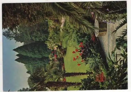 [Ansichtskarte] GERMANY - Insel Mainau im Bodensee - Blick vom Palmenhain in den Park. 