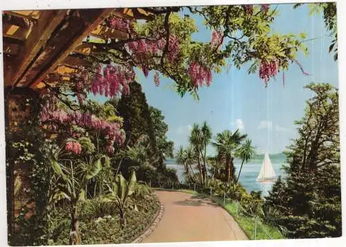 [Ansichtskarte] GERMANY - Insel Mainau im Bodensee. 