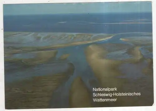 [Ansichtskarte] GERMANY - Nationalpark Schleswig-Holsteinisches Wattenmeer. 