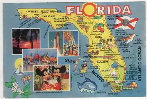 [Ansichtskarte] USA - Florida. 