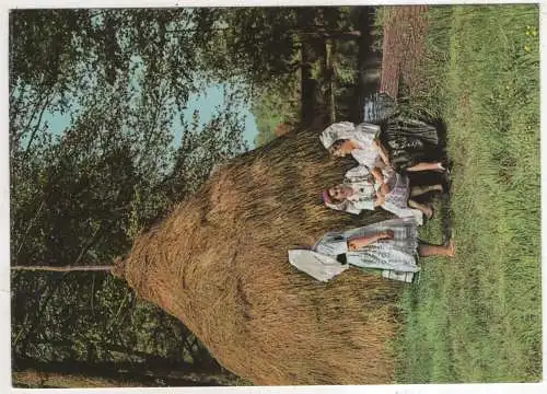 [Ansichtskarte] GERMANY - Spreewald. 