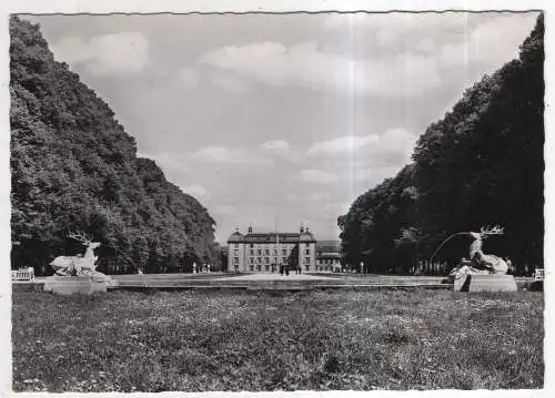 [Ansichtskarte] GERMANY - Schwetzingen - Hirschgruppe mit Blick zum Schloß. 