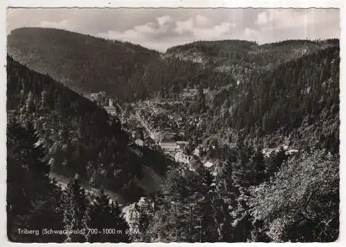 [Ansichtskarte] GERMANY - Triberg / Schwarzwald. 