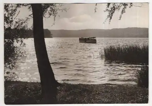 [Ansichtskarte] GERMANY -  Buckow / Märk. Schweiz - Motorboot auf dem Schermützelsee. 