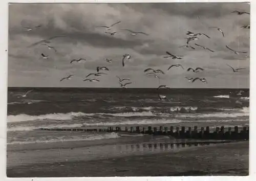 [Ansichtskarte] GERMANY -  Kühlungsborn - Strandmotiv. 