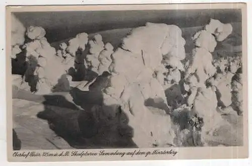 [Ansichtskarte] GERMANY - Oberhof / Thür. - Skulpturen-Sammlung auf dem gr. Finsterberg. 