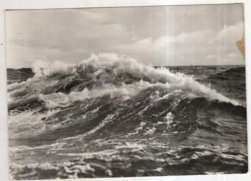 [Ansichtskarte] GERMANY - Ostseewellen. 