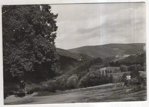 [Ansichtskarte] GERMANY - Meura / Thür. Wald - Heiratskarussel. 