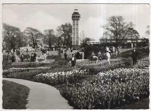 [Ansichtskarte] GERMANY - Essen - Gruga-Park. 