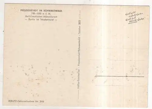 [Ansichtskarte] GERMANY - Freudenstadt im Schwarzwald - Partie im Teuchelwald. 