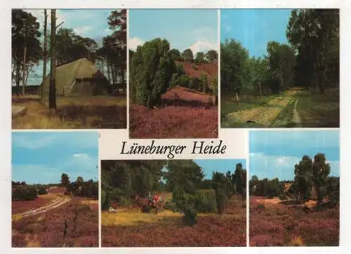 [Ansichtskarte] GERMANY - Lüneburger Heide. 