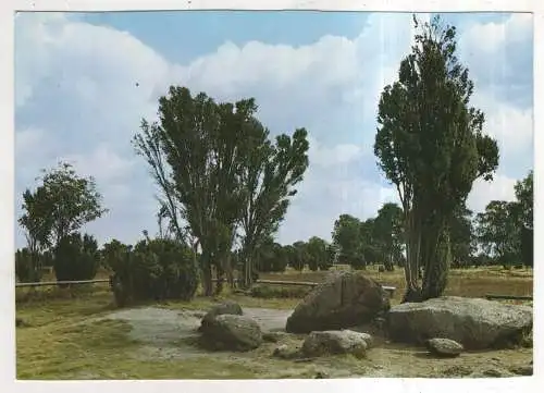 [Ansichtskarte] GERMANY - Lüneburger Heide. 